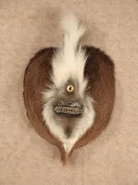 Image result for weird things