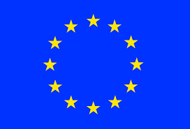 Image result for european flag