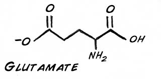 glutamate receptor gene, female depression 