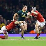 talking points: Wales Springboks
