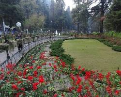 Image of Company Garden, Mussoorie