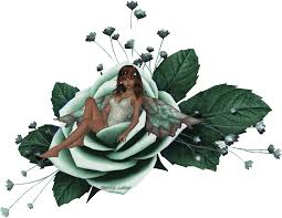 images?q=tbn:ANd9GcRqTEohjHSzKbB0KdtAYAX6hFGUiyMXE0poMMZUDXo4XnIAoORt6A