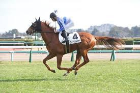 『ザ・ロイヤルファミリー』のロイヤルファミリー役・ブレイヴソルジャーがダート初挑戦へ 25日の福島戦を予定（サンケイスポーツ）