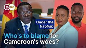 Who's to blame for Cameroon's woes amid rising violence?