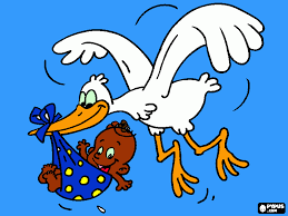Resultado de imagem para cegonha com bebe no bico