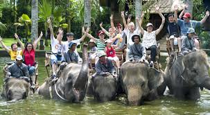 Hasil gambar untuk bali safari marine park