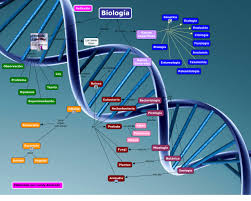 Resultado de imagen para biologia