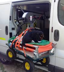Résultat de recherche d'images pour "Ambulance animaux"