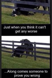 Bad Day Funny Quotes. QuotesGram via Relatably.com
