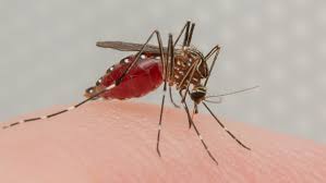 Buruli ulcer cases surge in Victoria, prompting health warnings and prevention advice - SSBCrack