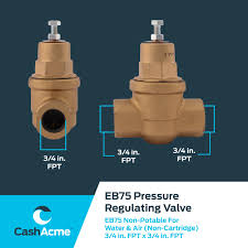 Cash Acme 23000-0045 Pressure Regulator EB75, 3/4 Inch ...