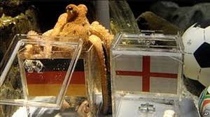 Image result for german octopus predicts football final