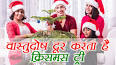 Video for क्रिसमस ट्री का पौधा