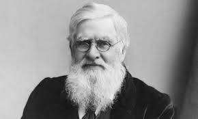 Alfred Russel Wallace is far from a household name, but he changed the world. Recovering from a bout of malaria on the remote Indonesian island of Halmahera ... - Alfred-Russell-Wallace-po-011