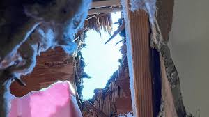 It’s a Treasure to Science. Too Bad It Came Through Their Roof.
