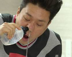 코에 이미지