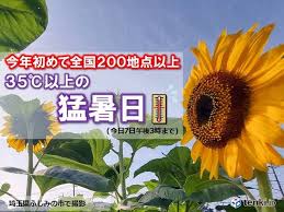 Yahoo!ニュース - News update