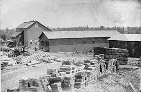 Image result for Deborah Lynn Ferrier