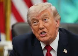 Donalds Tramps : ce qu'il faut savoir — image 4
