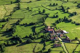 La Marne Agricole - News update