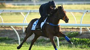 Melbourne Cup 2025: Pre-Race Veterinary Checks Impact Irish Hopes
