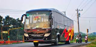Hasil gambar untuk po bejeu linsaka