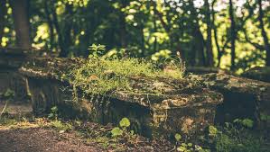 News source: Midi Libre