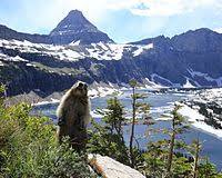 Glacier National Park, USA