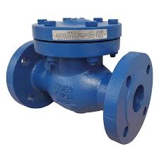 Swing Check Valve | Flanged | 25 Bar | Cast Iron | Metal Valves