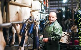 News source: Le Télégramme