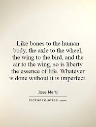 Like bones to the human body, the axle to the wheel, the wing to... via Relatably.com