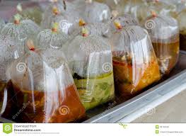 Image result for food in plastic bag