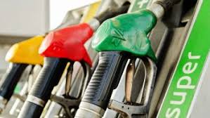 Trend Google: gasolio