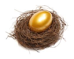 Image result for PIctures of nest eggs