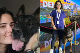 Canil do Senado não tem registro no Conselho Regional de Medicina Veterinária, afirma entidade