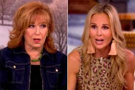 Elisabeth Hasselbeck's Contentious Return to 'The View'