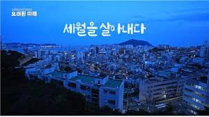 세계일보