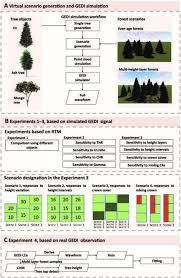 forest heights Cracking the Code of Forest Heights: Unleashing the Power of GEDI LiDAR Technology