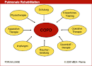 Chronisch obstruktive Lungenerkrankung COPD Leitlinie - Deutsche