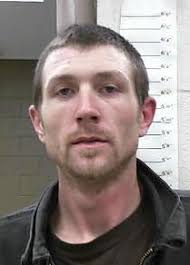 INMATE NAME: JERRY MATTHEW GREEN. Booking #: 140115230. Age: 29. Gender: MALE Race: WHITE Address: RUSSELLVILLE, AL - jerry-green