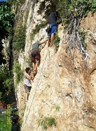 Hasil gambar untuk pecinta alam indonesia