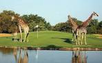 Golf Tours South Africa, Golf Holidays and Safaris by