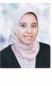 Assistant Professor, Faculty of Engineering, Ain Shams University. Project Field: Engineering Sciences and Technology - Aya-Diab