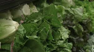 Michigan woman sues Taylor Farms, Border Foods over Cyclospora outbreak linked to lettuce
