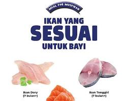 Gambar Ikan untuk bayi