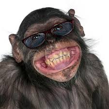 Résultat de recherche d'images pour "caricatures portable et singes"