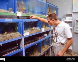 Image of teenager working at a pet store