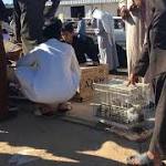 "زراعة الدوادمي" تغلق أسواق الطيور