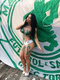 Resultado de imagem para gatas do palmeiras