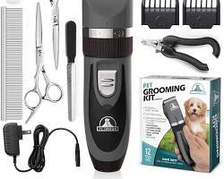 cat grooming toolsの画像